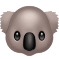 🐨 Koala Apple