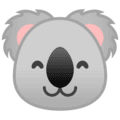 🐨 Koala Google