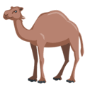 🐪 Unta Messenger