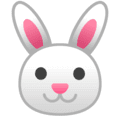 🐰 Wajah Kelinci Google