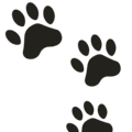 🐾 Jejak Kaki Hewan
