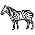 🦓 Zebra