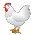 🐔 Ayam Google