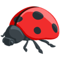 🐞 Kumbang Koksi Messenger