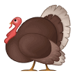🦃 Kalkun Samsung