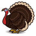 🦃 Kalkun
