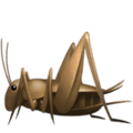 🦗 Jangkrik Apple
