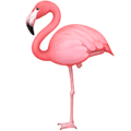 🦩 Flamingo Facebook