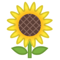 🌻 Bunga Matahari Google