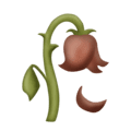 🥀 Bunga Layu Emojipedia