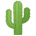 🌵 Kaktus Google