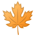 🍁 Daun Maple Google