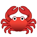 🦀 Kepiting Google