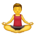 🧘‍♂️ Pria dalam Posisi Lotus Emojipedia