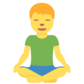 🧘‍♂️ Pria dalam Posisi Lotus Twitter