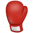 🥊 Sarung Tinju Samsung