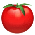 🍅 Tomat WhatsApp