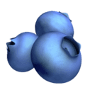 🫐 Blueberry Apple