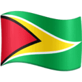 🇬🇾 Bendera Guyana Facebook