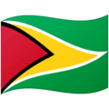 🇬🇾 Bendera Guyana Google