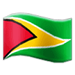 🇬🇾 Bendera Guyana Samsung