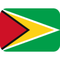 🇬🇾 Bendera Guyana Twitter