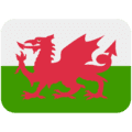 🏴󠁧󠁢󠁷󠁬󠁳󠁿 Bendera Wales Twitter