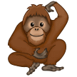 🦧 Orangutan Samsung